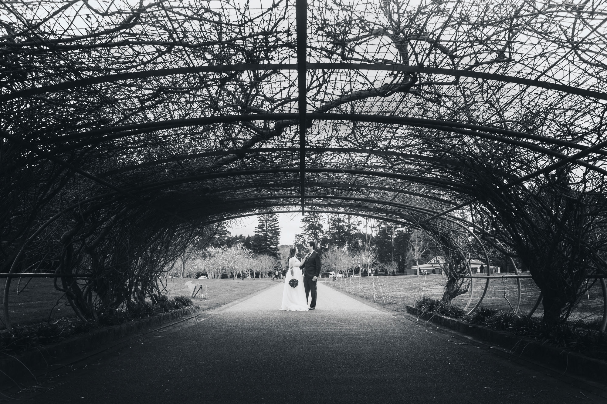 cornwall park black and white wedding