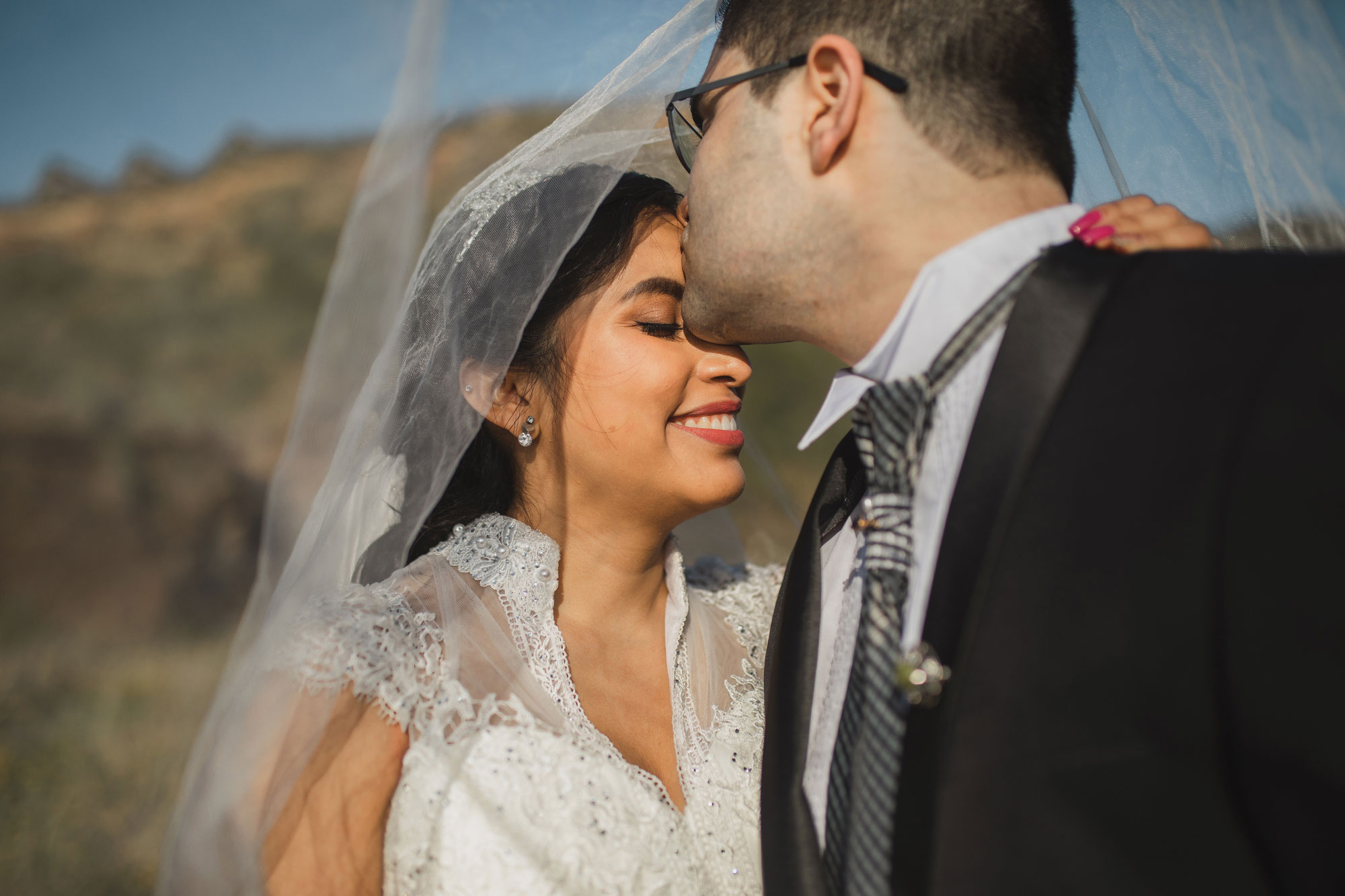 veil wedding shot