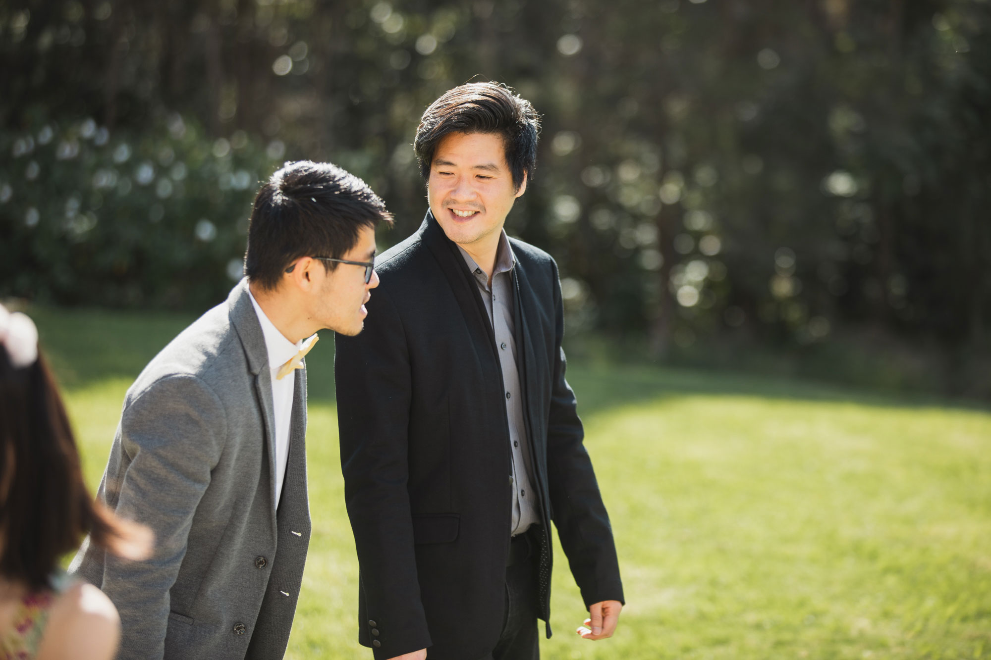 guests at the wedding