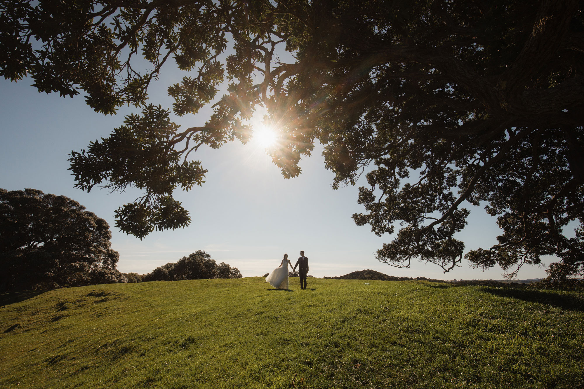 wedding photo sillhouette auckland