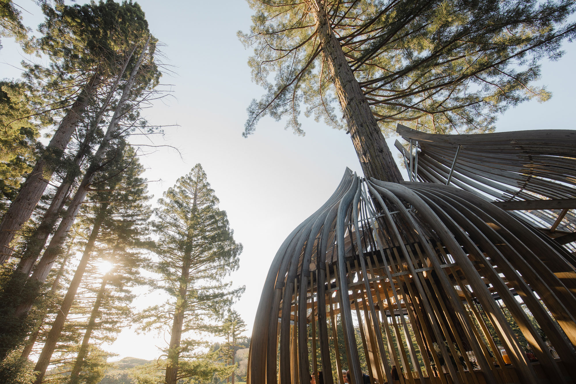 redwoods treehouse