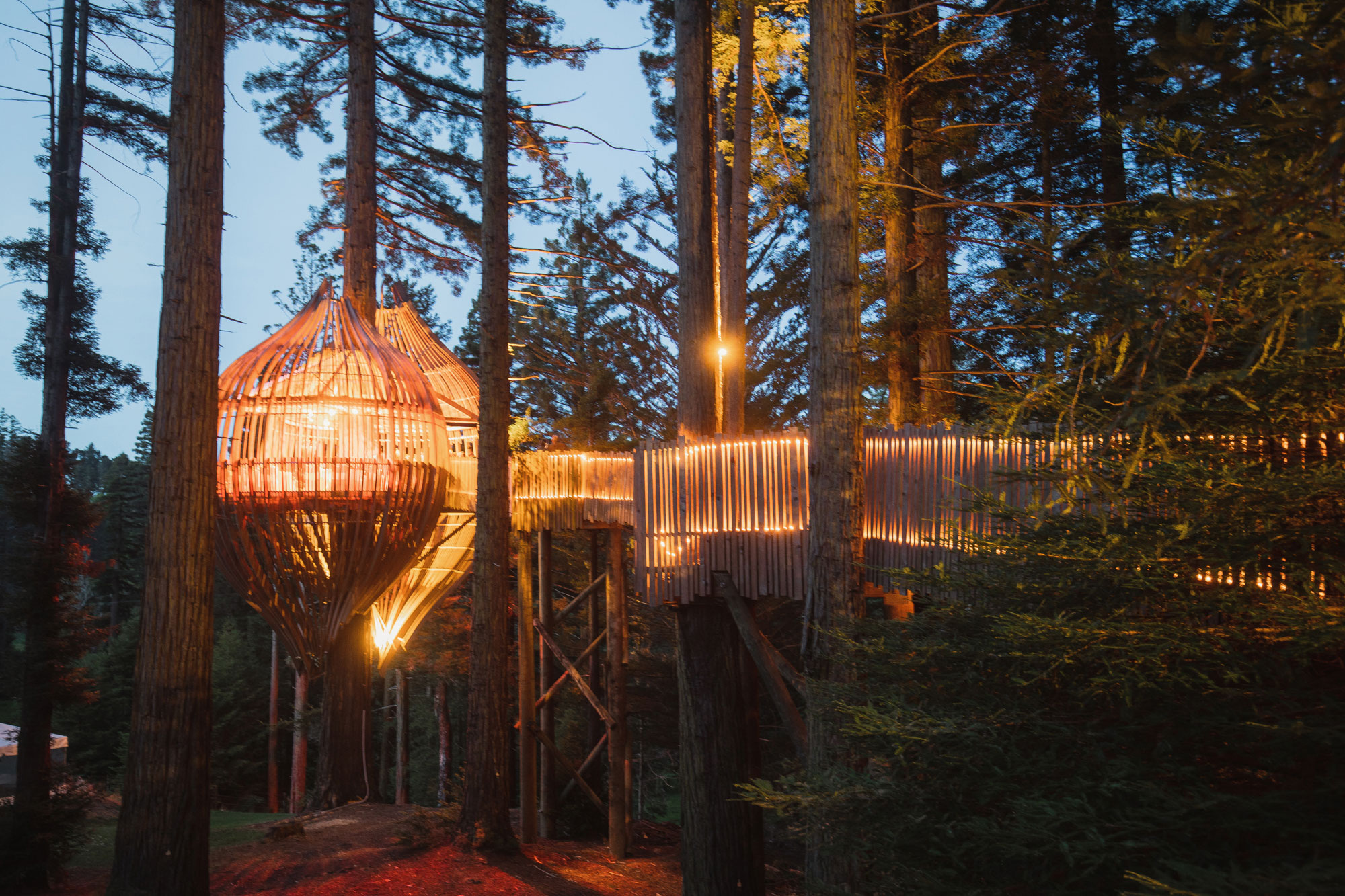 redwoods treehouse at night