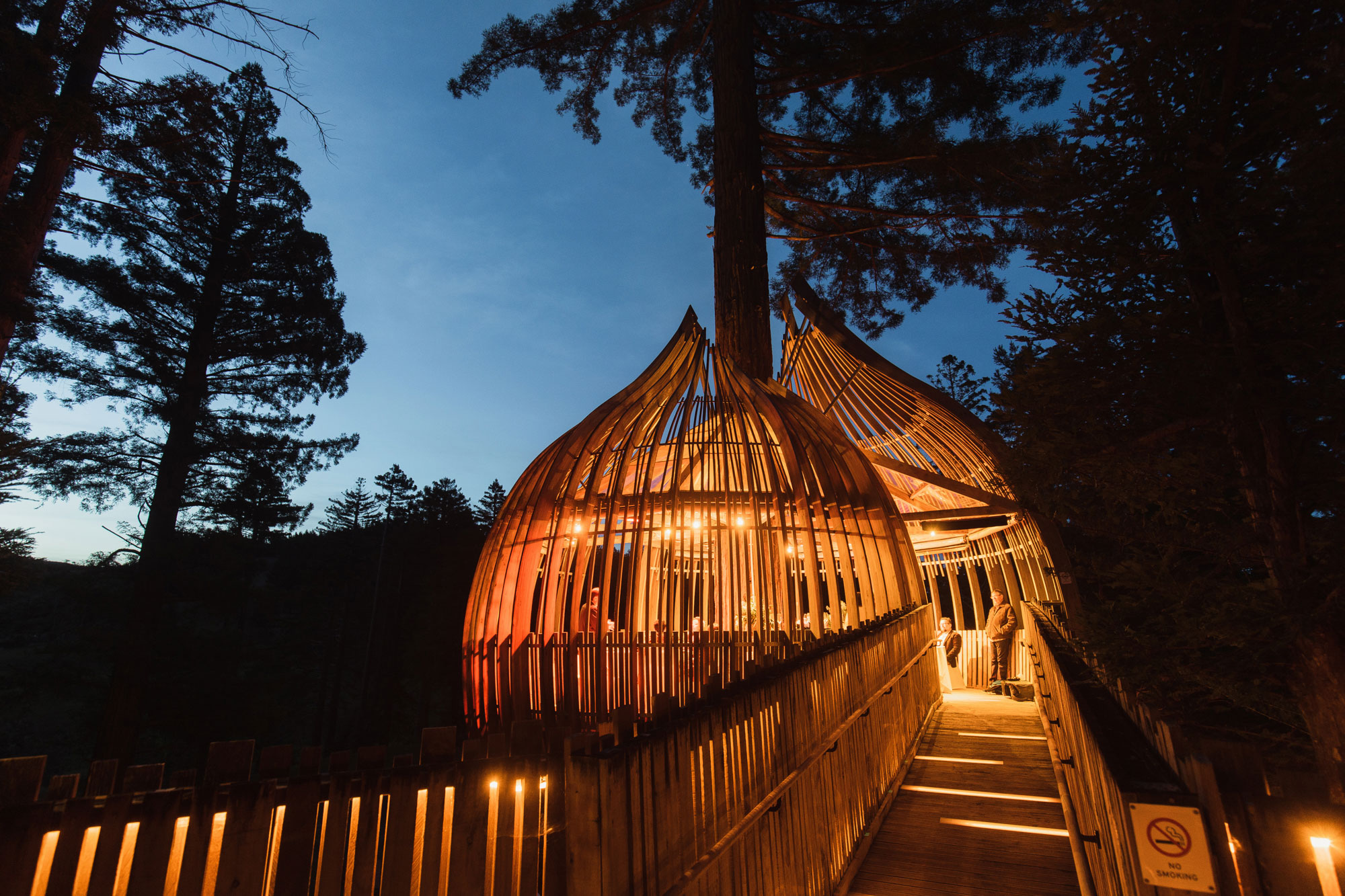 night time redwoods treehouse in auckland