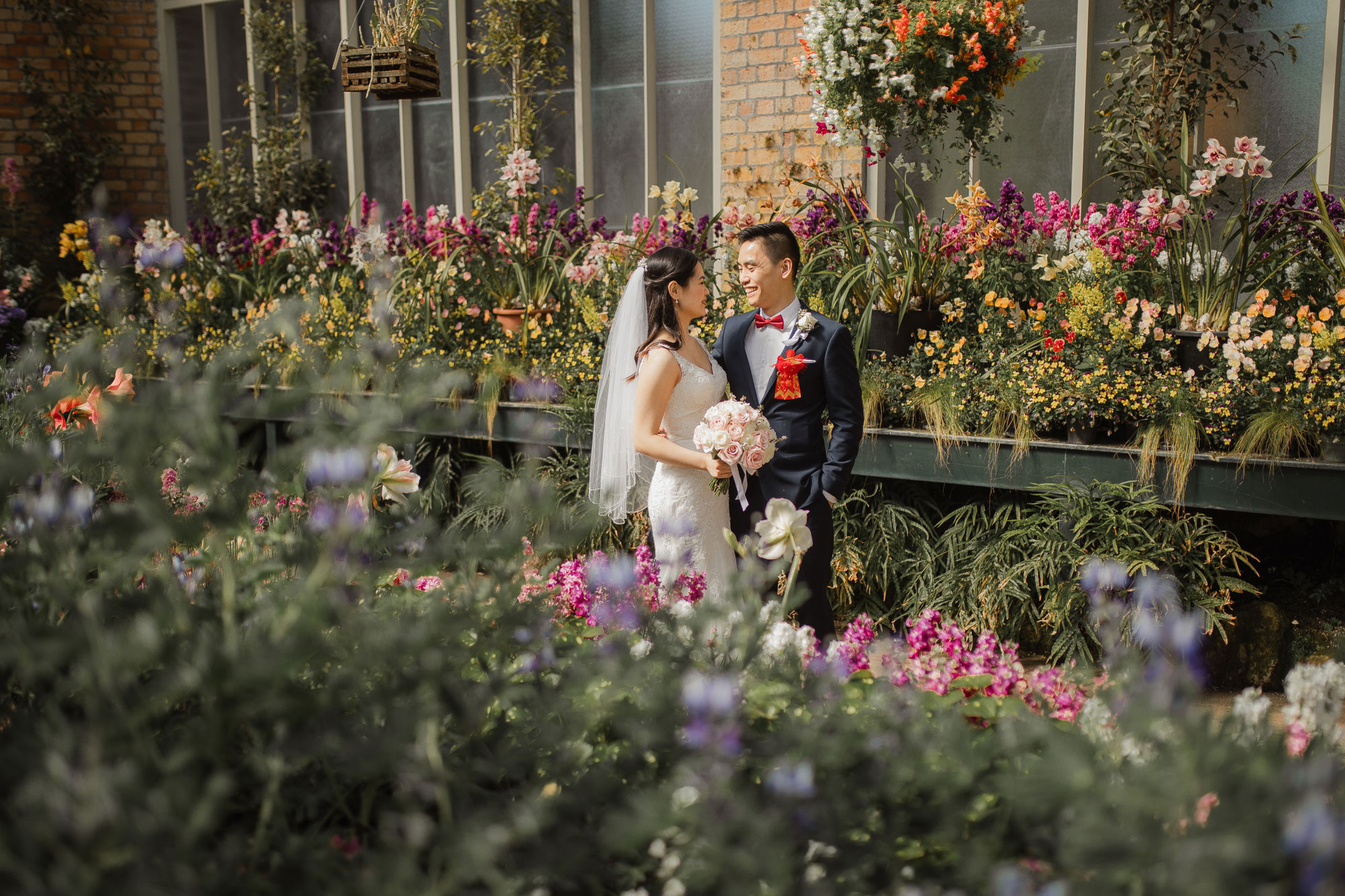 auckland domain winter gardens wedding