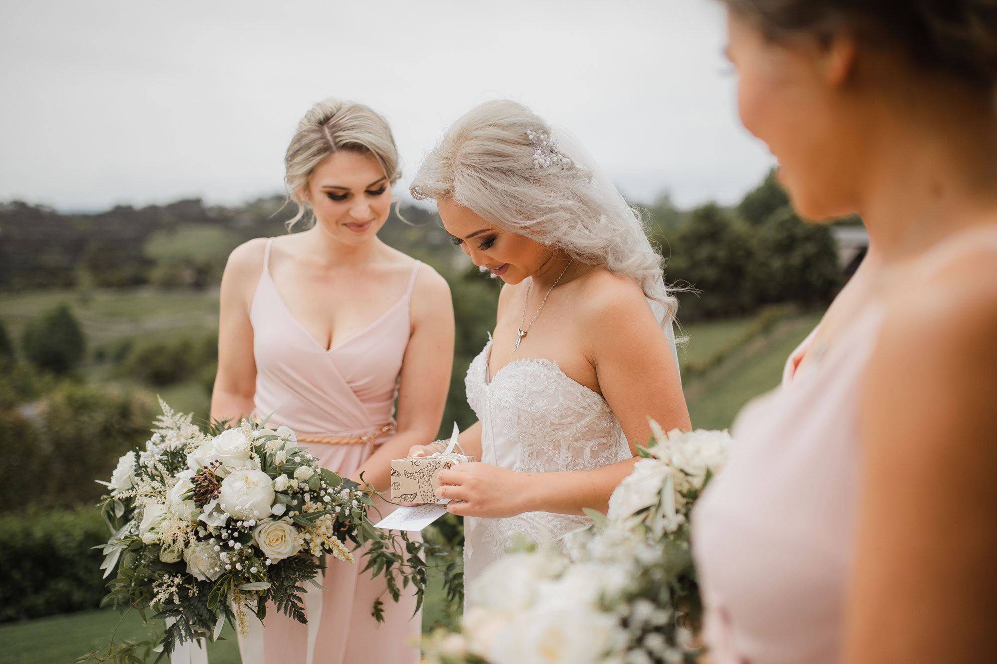 bride and maid of honour