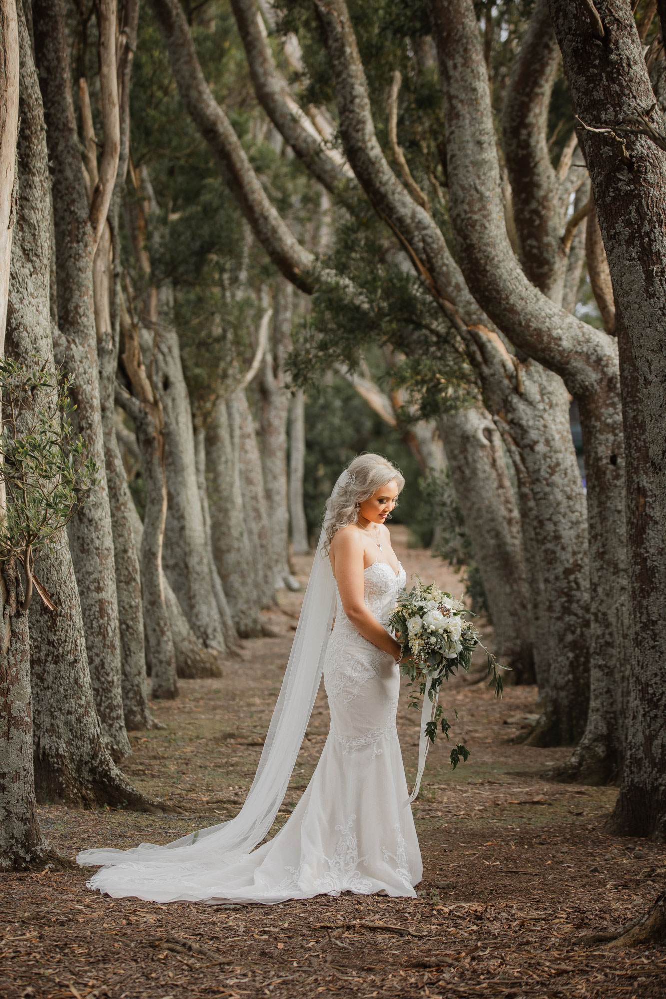 markovina vineyard bridal portraits