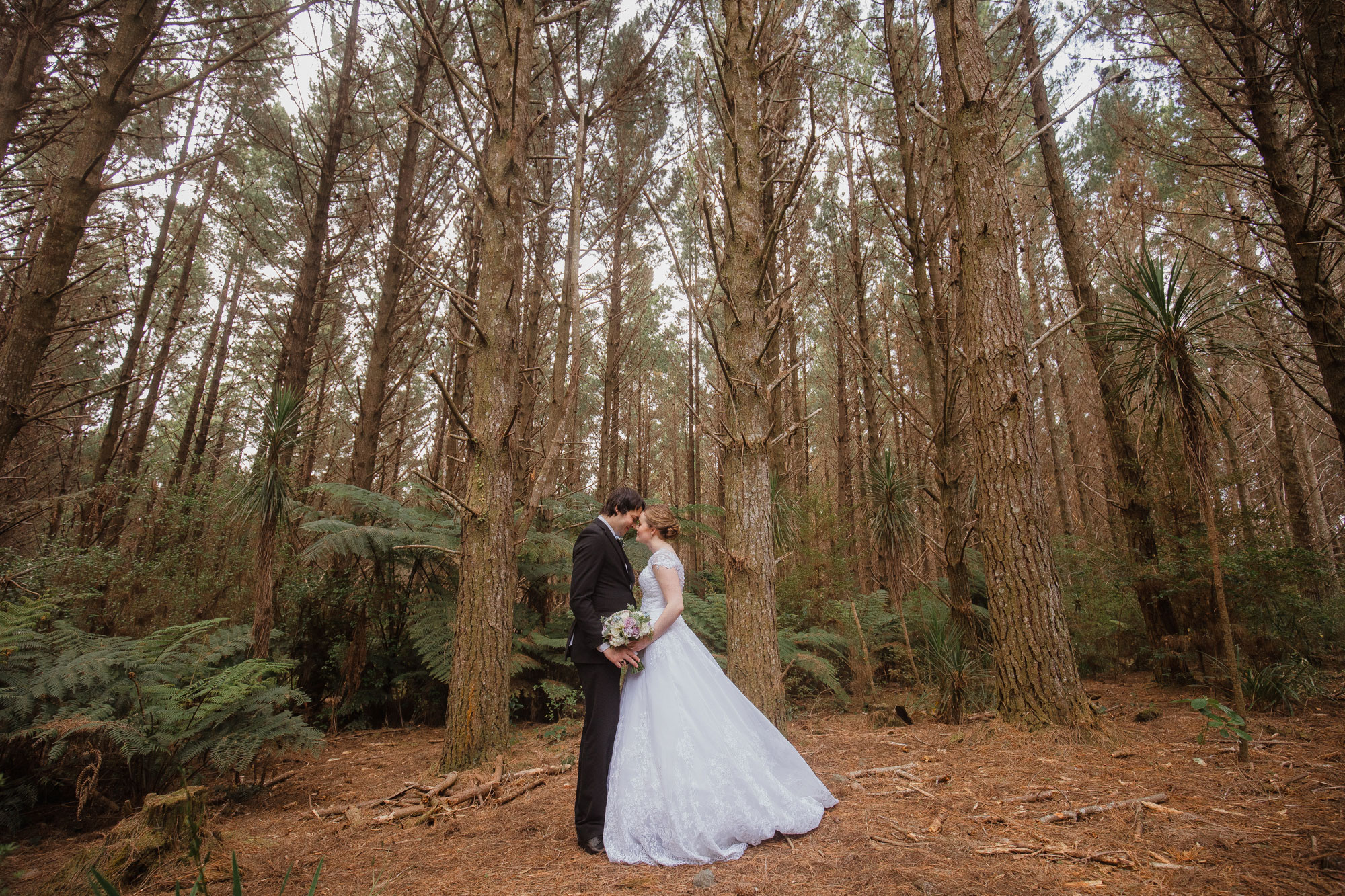 auckland forest wedding shoot