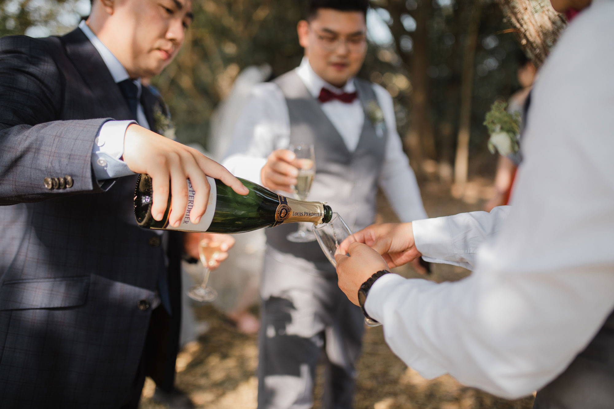 bridal party picnic