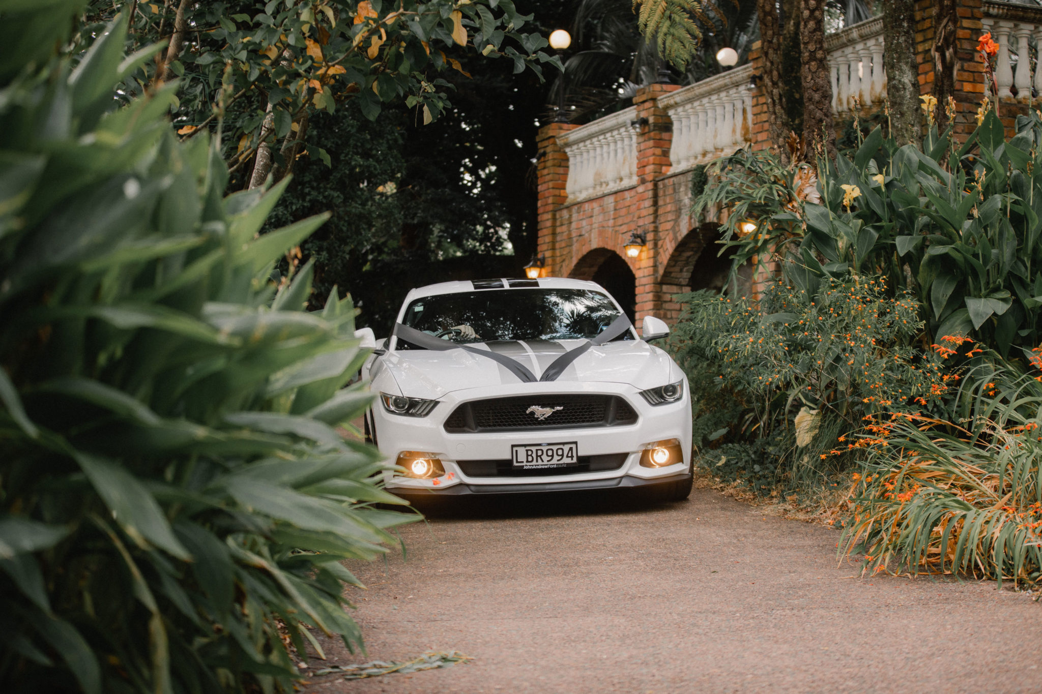 auckland wedding car